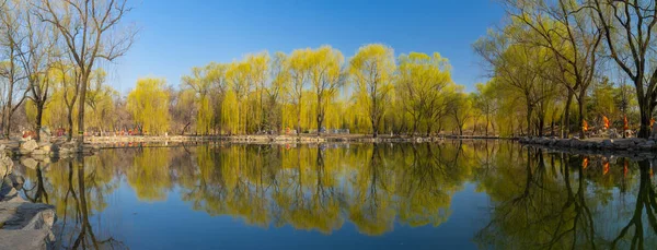 Die Sommerpalastlandschaft Von Peking Zeitigen Frühling — Stockfoto