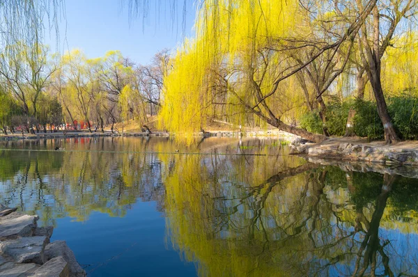 Die Sommerpalastlandschaft Von Peking Zeitigen Frühling — Stockfoto