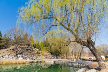 Erken baharda Pekin Yaz Sarayı manzara