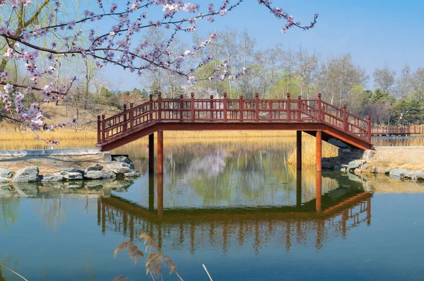 Paisaje Del Palacio Verano Beijing Principios Primavera — Foto de Stock