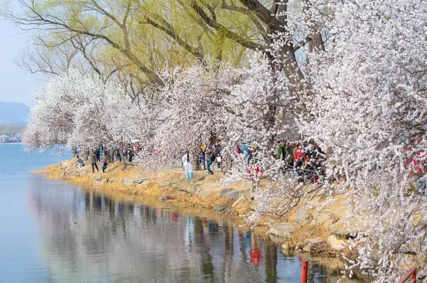 Die Sommerpalastlandschaft Von Peking Zeitigen Frühling — Stockfoto