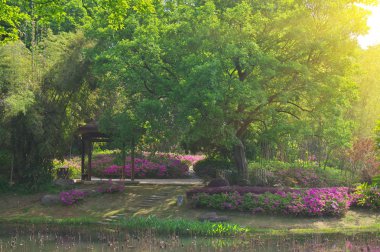 İlkbaharda Forest Park'ın Açelya manzarası