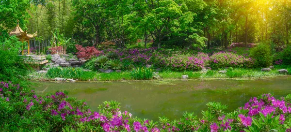 Azálea Paisagem Parque Florestal Primavera — Fotografia de Stock