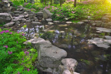 İlkbaharda Forest Park'ın Açelya manzarası