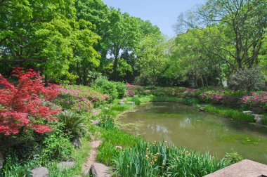 İlkbaharda Forest Park'ın Açelya manzarası