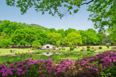 İlkbaharda Forest Park'ın Açelya manzarası