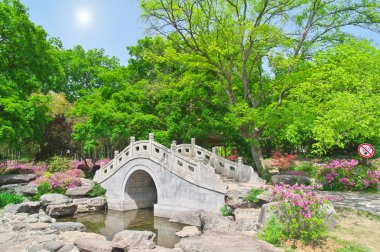 İlkbaharda Forest Park'ın Açelya manzarası