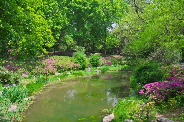 Azalea scenery of Forest Park in spring