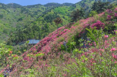 Wuhan bulutu ve sisli dağ manzarası.