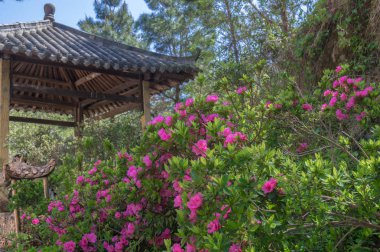 Wuhan bulutu ve sisli dağ manzarası.