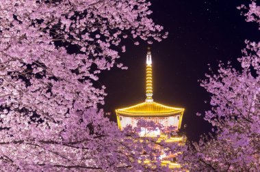 Baharda Wuhan Kiraz Bahçesi manzarası