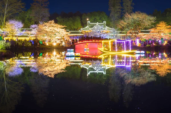 Wuhan Cherry Blossom Jardim Paisagem Primavera — Fotografia de Stock