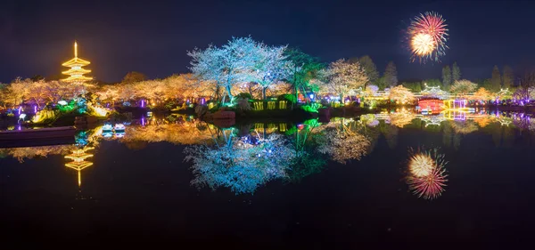 Wuhan Cherry Blossom Jardim Paisagem Primavera — Fotografia de Stock