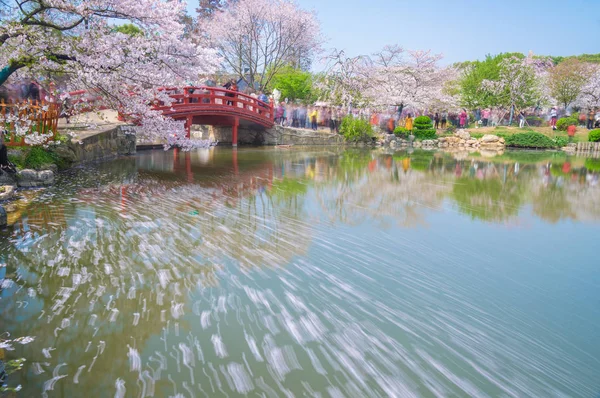 Wuhan Kersenbloesem Tuin Landschap Het Voorjaar — Stockfoto