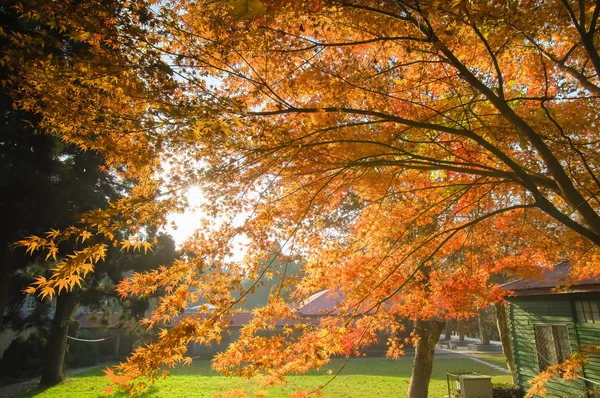 Beau Paysage Géoparc Montagne Fin Automne — Photo