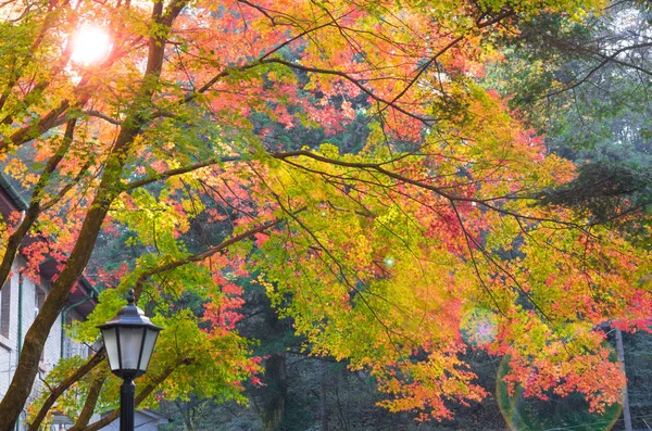 Beau Paysage Géoparc Montagne Fin Automne — Photo