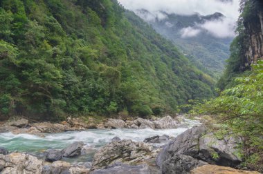 Sonbaharda Hubei Shennongjia Milli Geopark manzara 