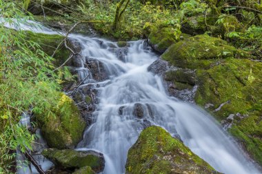 Sonbaharda Hubei Shennongjia Milli Geopark manzara 