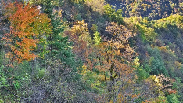 Хубэй Шенунцзя Национальный Геопарк Пейзаж Осенью — стоковое фото