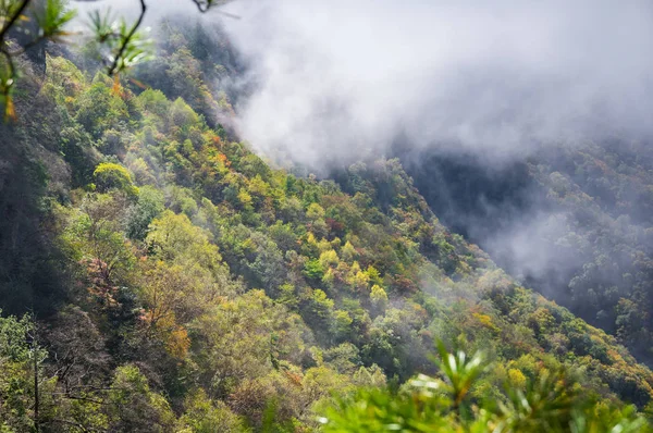 湖北神农家国家地质公园秋季景观 — 图库照片