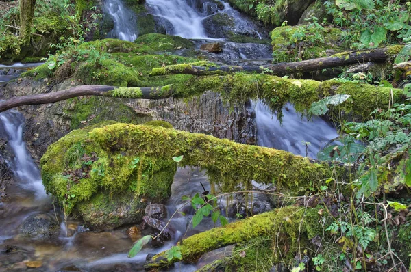 Hubei Shennongjia Národní Geopark Krajina Podzim — Stock fotografie