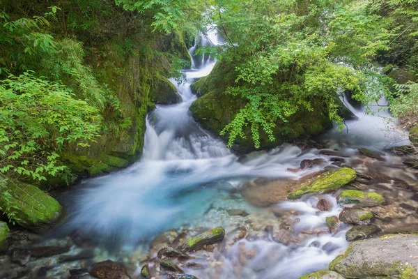 Hubei Shennongjia National Geopark Paesaggio Autunno — Foto Stock