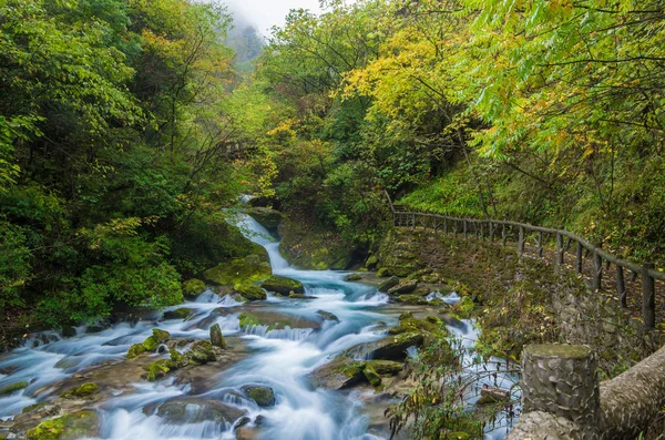 Hubei Shennongjia Národní Geopark Krajina Podzim — Stock fotografie