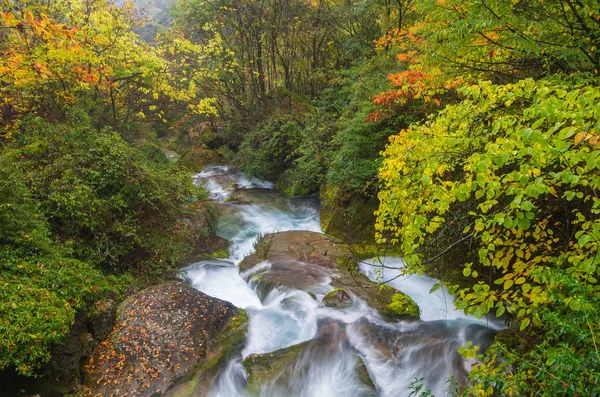 Hubei Shennongjia National Geopark Paisagem Outono — Fotografia de Stock