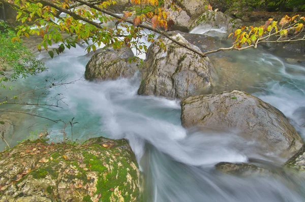 Hubei Shennongjia National Geopark Landscape Autumn Royalty Free Stock Images