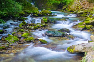 Sonbaharda Hubei Shennongjia Milli Geopark manzara 