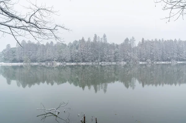 Wuhan East Lake Scenic Spot Snow Scene Winter — Stock Photo, Image