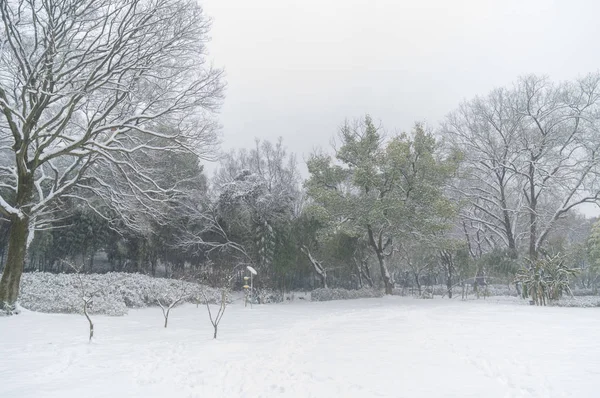 Wuhan East Lake Schilderachtige Plek Sneeuw Scene Winter — Stockfoto