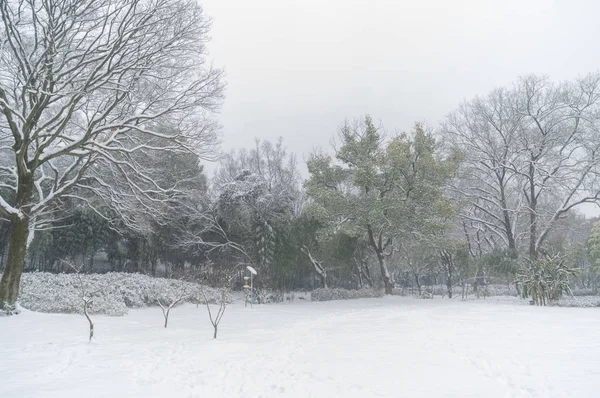 Wuhan East Lake Cena Neve Local Cênica Inverno — Fotografia de Stock