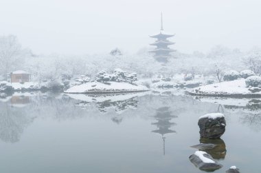 Wuhan Doğu Gölü manzaralı kar manzaralı kışın