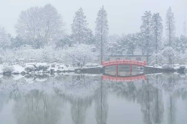 武汉东湖景区冬季雪景 — 图库照片