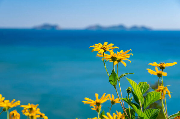 The scenery of Dalian Golden Stone National Geopark and Coastal Road in late Summer