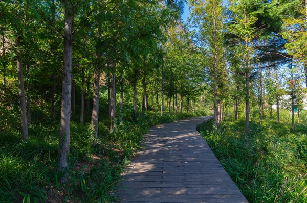 Scenery Dalian Golden Stone National Geopark Coastal Road Late Summer — стоковое фото