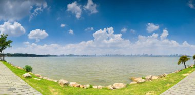 İlkbahar ve yaz aylarında orman parkında güzel manzara