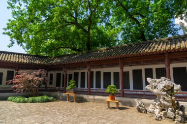 İlkbahar ve yaz aylarında orman parkında güzel manzara