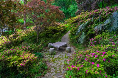 İlkbahar ve yaz aylarında orman parkında güzel manzara