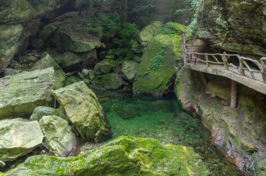 Çin'deki Wudang Dağı'nın büyüleyici yaz manzarası