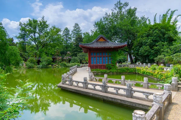 Beaux Paysages Dans Parc Forestier Printemps Été — Photo