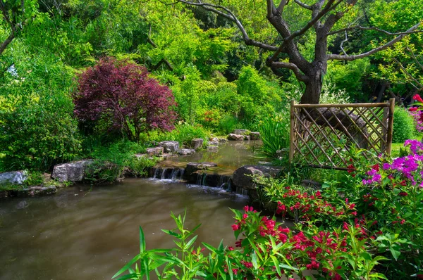 Bela Paisagem Parque Florestal Primavera Verão — Fotografia de Stock