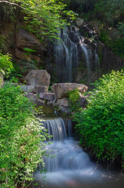 Hermoso Paisaje Parque Forestal Primavera Verano —  Fotos de Stock