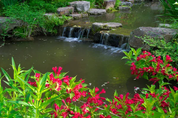 Hermoso Paisaje Parque Forestal Primavera Verano — Foto de Stock