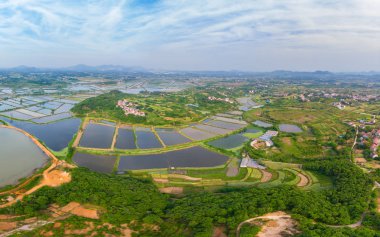 İlkbaharda Güvenlik Gölü Ulusal Sulak Park üzerinde Aerial View, Huangshi, Hubei, Çin