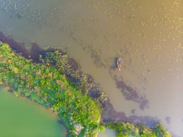 Vzdušný Výhled Nad Bezpečnostním Jezerem Národní Mokpark Jaře Huangshi Hubei — Stock fotografie