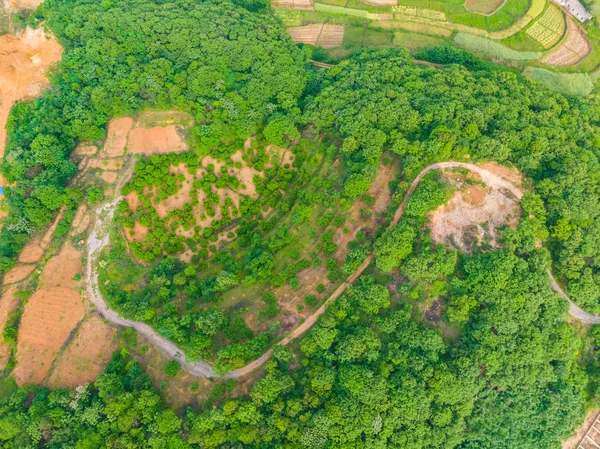 Vista Aérea Sobre Parque Nacional Humedales Del Lago Seguridad Primavera — Foto de Stock