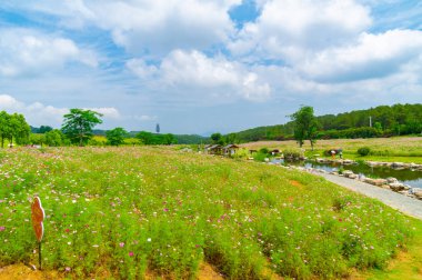Wuhan, Hubei Eyaleti, Çin 'deki Mulan çayır manzarasının erken dönem manzarası