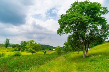 Wuhan, Hubei Eyaleti, Çin 'deki Mulan çayır manzarasının erken dönem manzarası